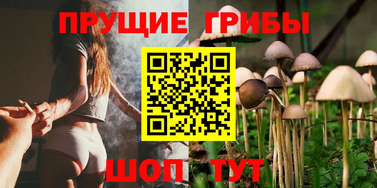 Псилоцибиновые грибы мицелий Карасук